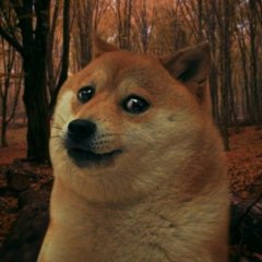 fsdf