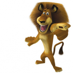 lion