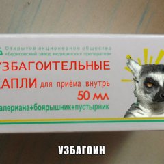 Mash UZBAGOIYSYA vkonce koncov