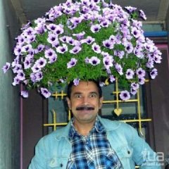 Мужик с цветами