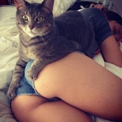 nhty