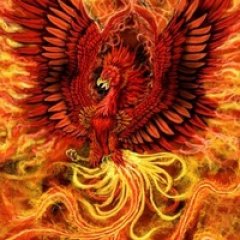 Школа мракоборцев Золотой Феникс