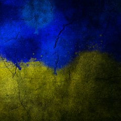 справжнй дух укранського патроти