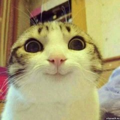 5456