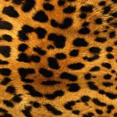 65