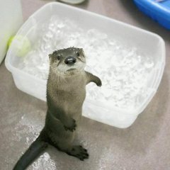 бенз