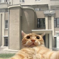 чсмчсмчм