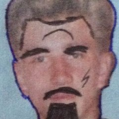 Молодой питбуль