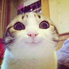 нкен