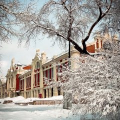 нск