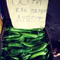 оз