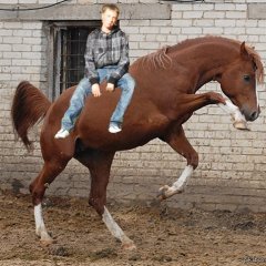 сил