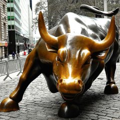 Bull