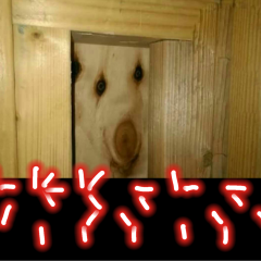 Дратути