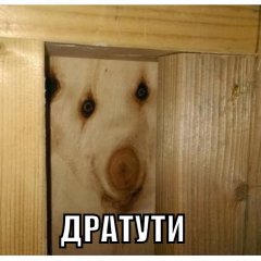 Дратути