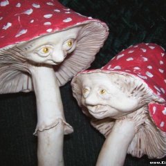 Грибы