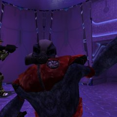 Halo