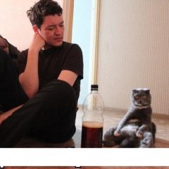 Кот который не смог