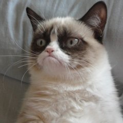 Котэ