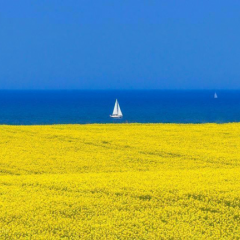 Крим - це Україна