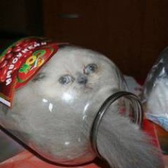 Курлык