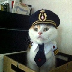 Мартовский кэп