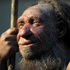 Неандерталец