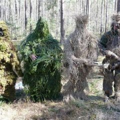 Собрание леших