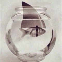 Так выглядят понты