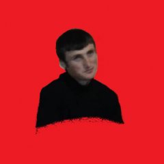 Тіпічний Гусьок