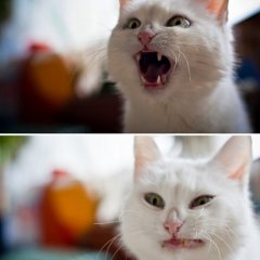 Анька