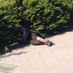 Бомж
