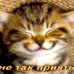 Даука