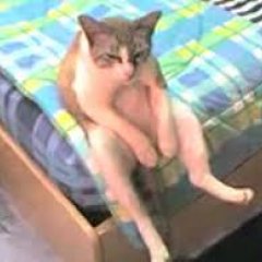Думу думаю