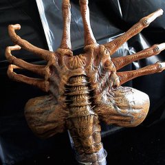 Facehugger