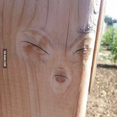 И сново друтути
