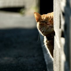 Когда пришел покупашка