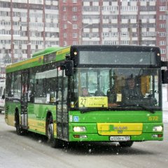 Квывы