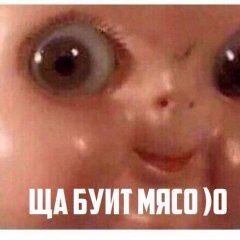 Мясо