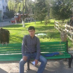 Shava