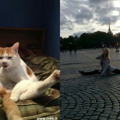 Шпагат