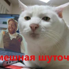 Смешная шуточка