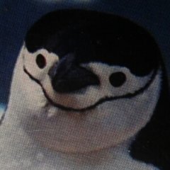 Снигавик
