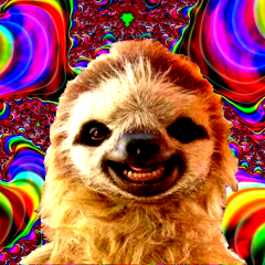 Улыбчивый ленивец