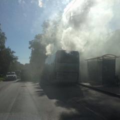 Vapebus
