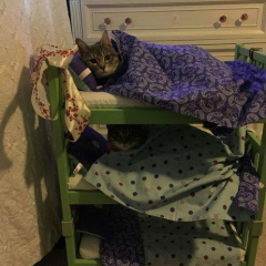 Втвллы