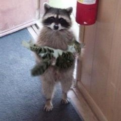 Й