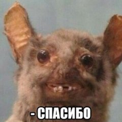 Ы