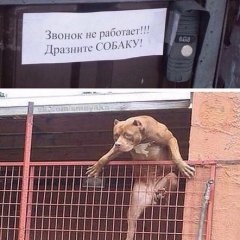 Звонок