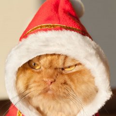 11111